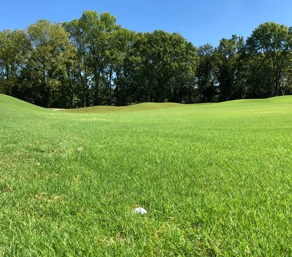 Why does rough escape skill matter for golf betting lines?