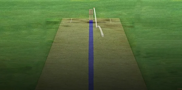 How does the trend line guide long-term croquet betting strategy?